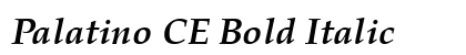 Palatino CE Bold Italic preview