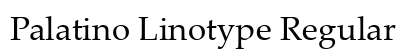 Palatino Linotype Regular Preview