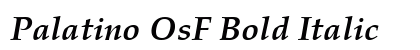 Palatino OsF Bold Italic preview
