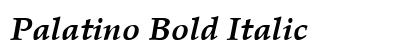 Palatino Bold Italic preview