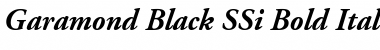 Garamond Black SSi Font