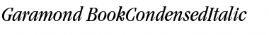 Garamond BookCondensedItalic Font Garamond BookCondensedItalic Font