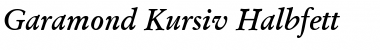 Garamond Kursiv Halbfett Font