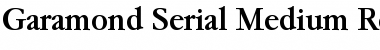 Garamond-Serial-Medium Font