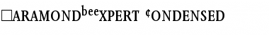 GaramondBEExpert-Condensed Roman Font