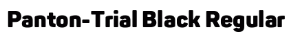 Panton-Trial Black Regular preview