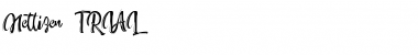 Nettizen Script_TRIAL Regular Font