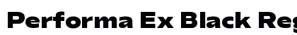Performa Ex Black Regular preview