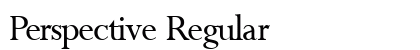 Perspective Regular Preview