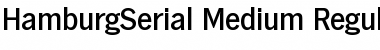 HamburgSerial-Medium Font