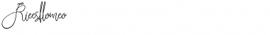 Download Rieesflomeo Font Download Rieesflomeo Font