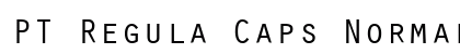 PT Regula Caps Normal preview