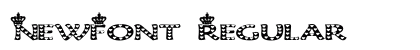 NewFont Regular preview
