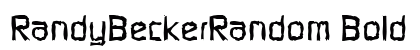 RandyBeckerRandom Bold preview