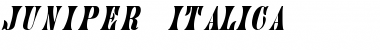 Juniper-Italic Font
