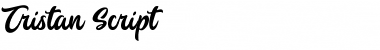 Tristan Script Font