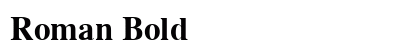 Roman Bold preview