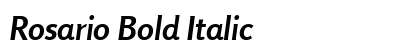 Rosario Bold Italic preview