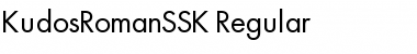 KudosRomanSSK Font