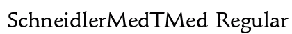 SchneidlerMedTMed Regular preview