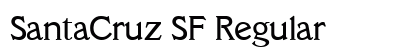 SantaCruz SF Regular preview