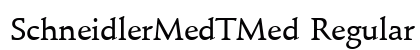 SchneidlerMedTMed Regular preview