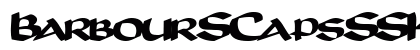 BarbourSCapsSSK Bold preview