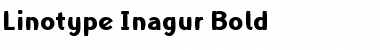 LTInagur Bold Regular Font