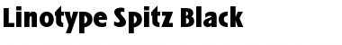 LTSpitz Book Font