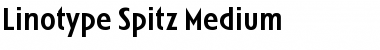 LTSpitz Medium Regular Font