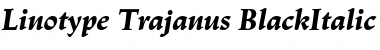 LinotypeTrajanus BlackItalic Font LinotypeTrajanus BlackItalic Font