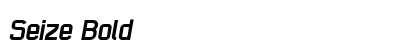 Seize Bold preview