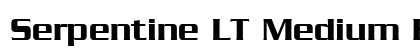 Serpentine LT Medium Regular preview