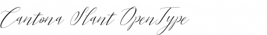 Download Cantona Slant Font