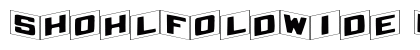 ShohlFoldWide Regular preview