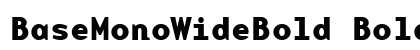 BaseMonoWideBold Bold preview