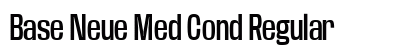 Base Neue Med Cond Regular preview