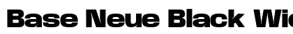 Base Neue Black Wide Regular preview