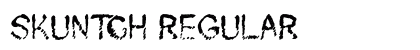 Skuntch Regular preview