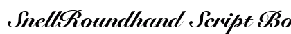 SnellRoundhand Script Bold Italic preview