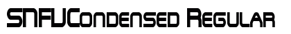 SNFUCondensed Regular preview