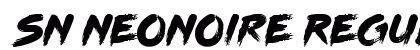 SN NeoNoire Regular preview