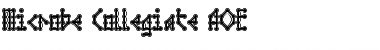 Microbe Collegiate AOE Font