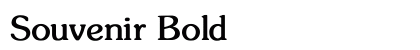 Souvenir Bold Preview