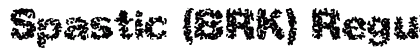 Spastic (BRK) Regular Preview