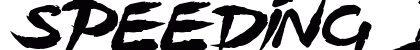 Speeding Brush Regular preview