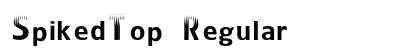 SpikedTop Regular preview