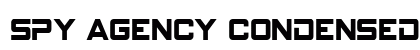 Spy Agency Condensed Condensed preview