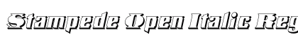 Stampede Open Italic Regular preview