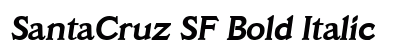SantaCruz SF Bold Italic preview